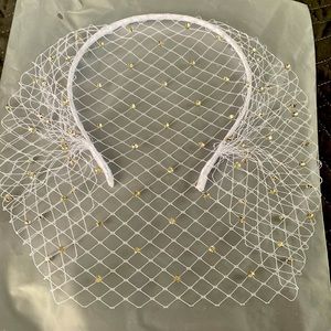 White Birdcage Rhinestone Veil